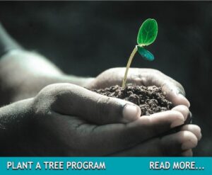 PLANT A TREE BUTTON PICTURE