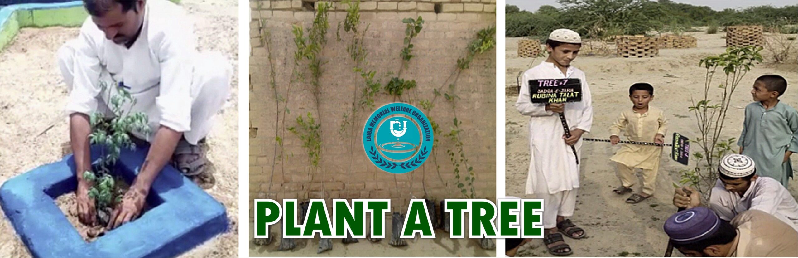 plant a tree banner